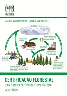 Certificao florestal - Uma floresta certificada  uma floresta com futuro